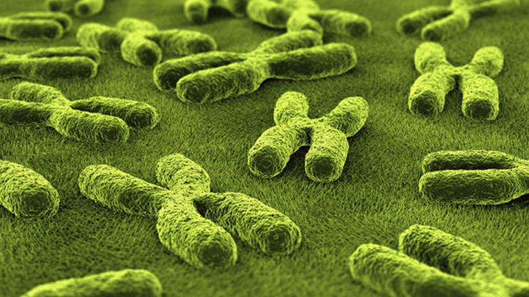 Νέο εργαλείο βοηθά τη διάγνωση του συνδρόμου Klinefelter σε νεαρά αγόρια